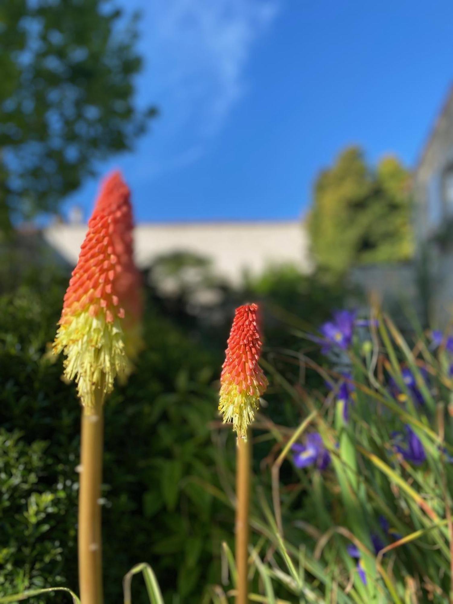 Aux Agapanthes, Chambres D'Hotes Charentaises De Charme Avec Piscine Aumagne Esterno foto