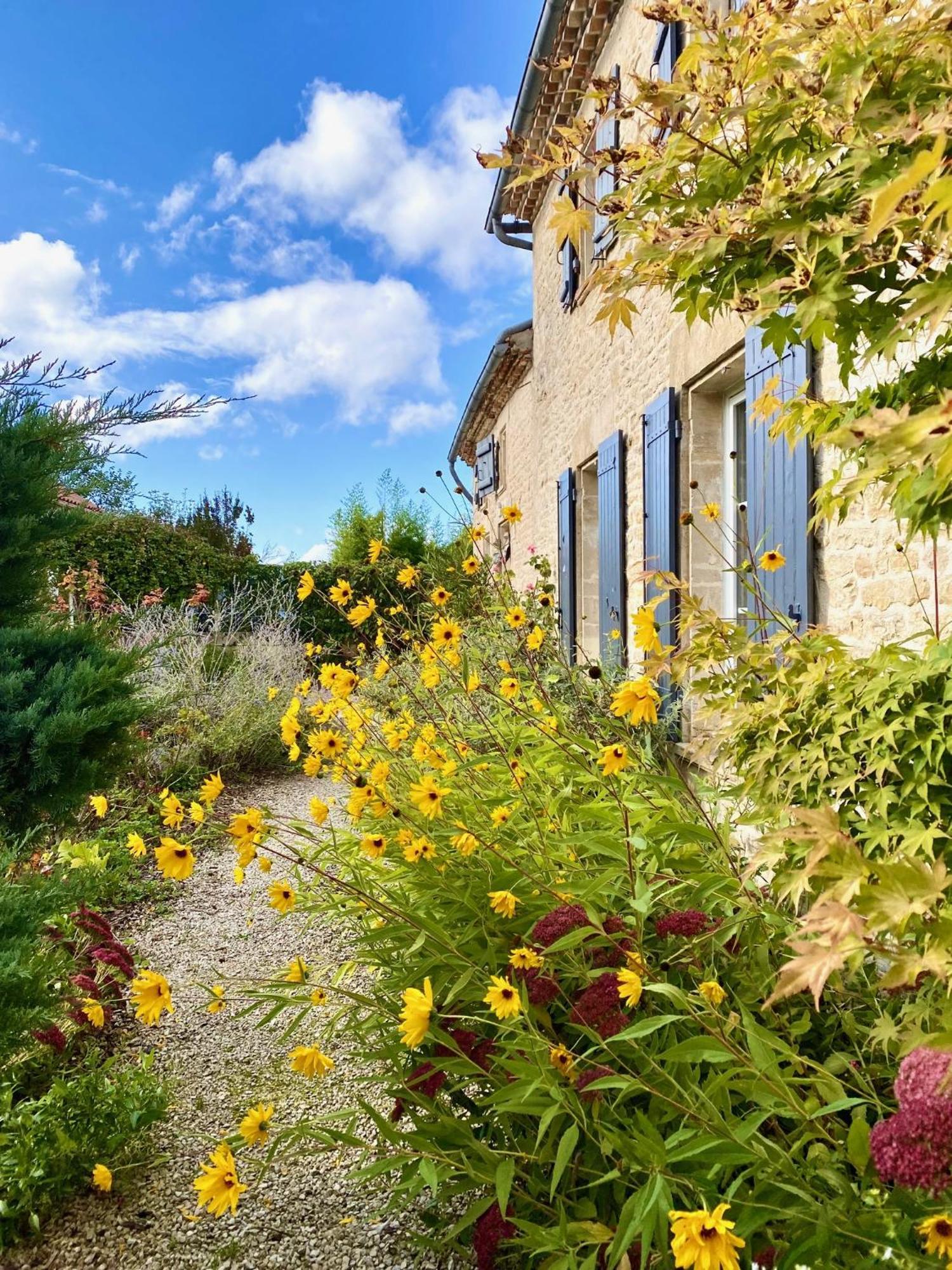 Aux Agapanthes, Chambres D'Hotes Charentaises De Charme Avec Piscine Aumagne Esterno foto