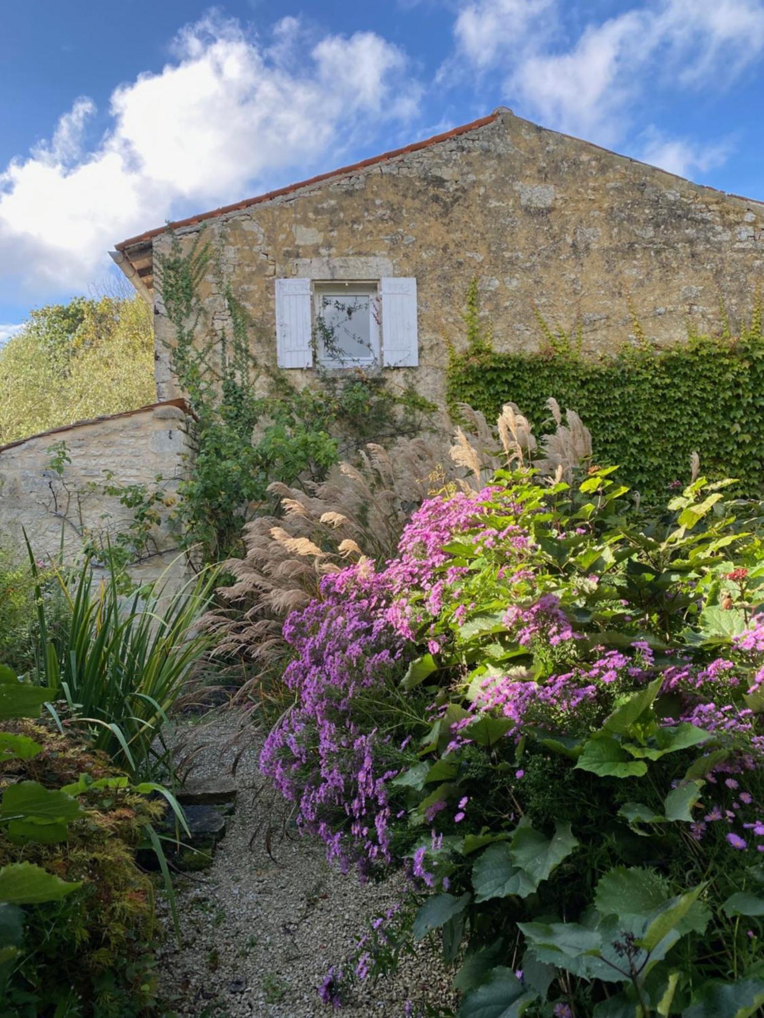 Aux Agapanthes, Chambres D'Hotes Charentaises De Charme Avec Piscine Aumagne Esterno foto
